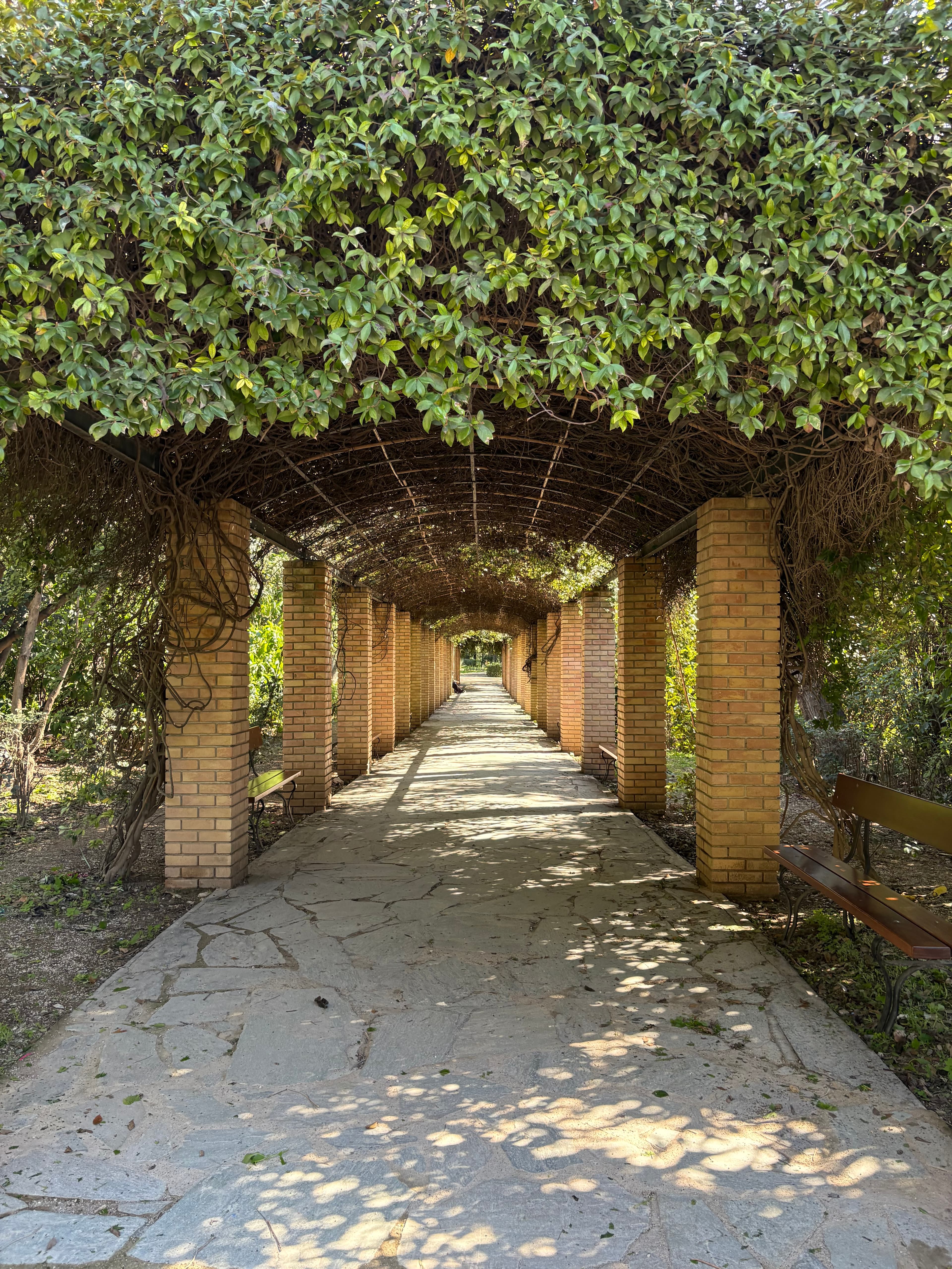 Bust of Famous Person, Supposedly